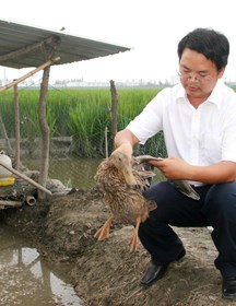 何大乾　研究员　水禽育种研究