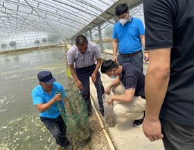 【先行区共建】我院科技人员赴金山南美白对虾基地开展调研