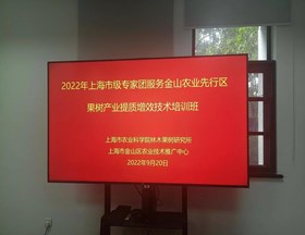 【先行区共建】林果所召开市级专家团服务金山先行区果树技术培训班