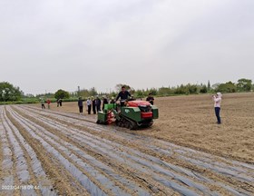 【先行区共建】基因中心与廊下镇联合召开节水抗旱稻机覆全生物降解膜旱直播旱管示范现场会