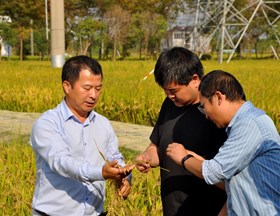 【先行区共建】“院区合作”挂职人员助推科研成果落地金山