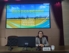 【先行区共建】生态所杂草管理团队科技人员为金山区基层农技推广体系改革与推广项目（水稻条线）技术培训班授课