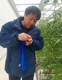 朱为民　研究员　设施栽培技术和品种选育