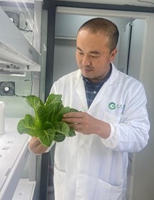 丁小涛　研究员　植物工厂技术及黄瓜育种